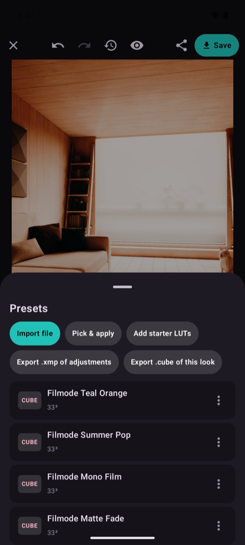 Preset and LUT browser showing film looks previewed on the current photo