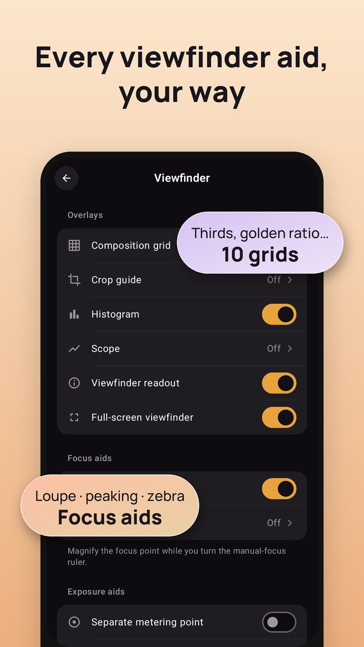 Viewfinder settings: composition grids, histogram, focus aids